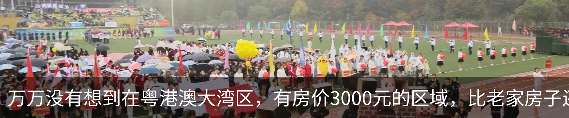 资讯动态