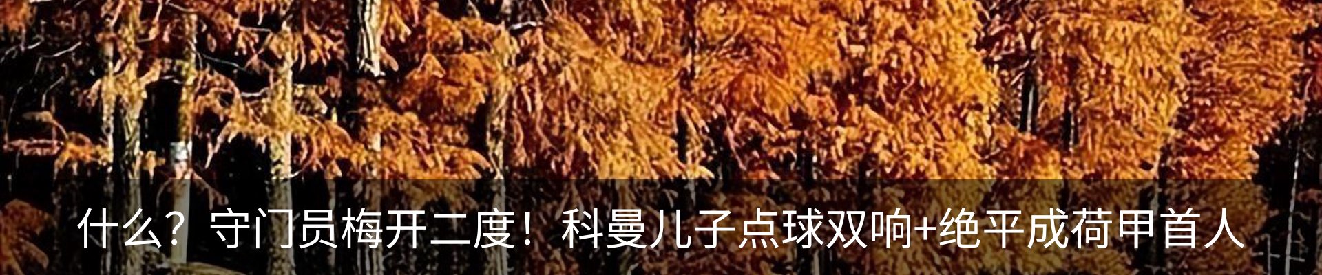 资讯动态