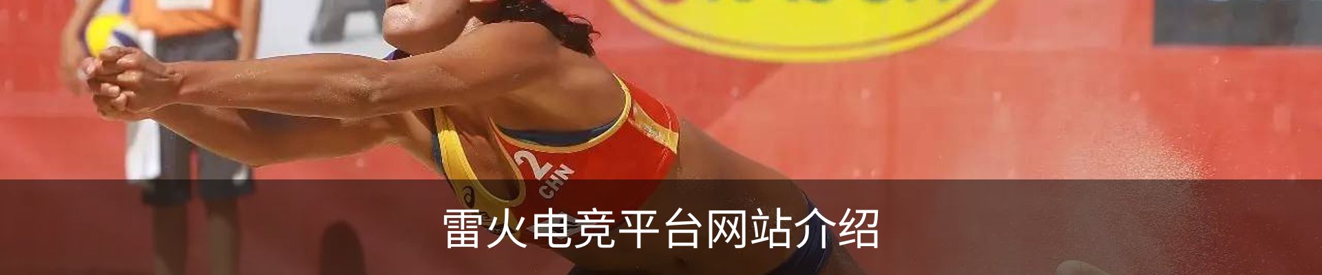 雷火电竞平台网站介绍